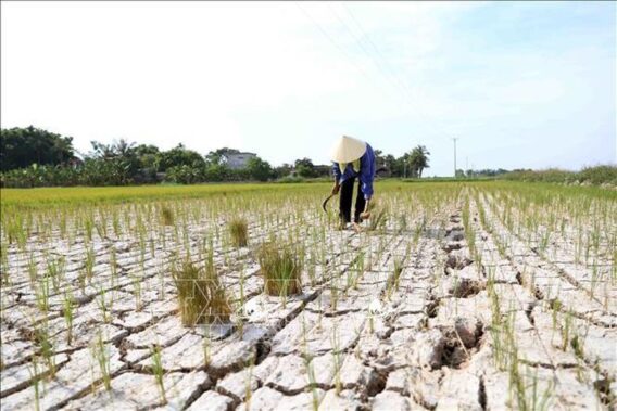 Chung tay chống sa mạc hóa và hạn hán- Ảnh 1.