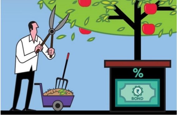 Trái Phiếu Zero Coupon Là Gì? Tìm Hiểu Về Loại Trái Phiếu Không Trái Tức 4 Trai Phieu Zero Coupon La Gi 4